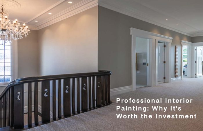 Professional Interior Painting: Why It's Worth the Investment
